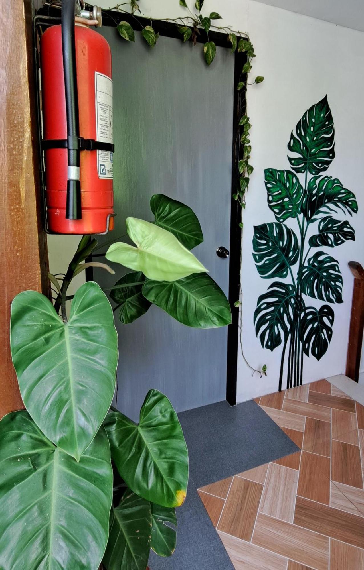 Bougainvillea Guesthouse Сан Хуан Екстериор снимка